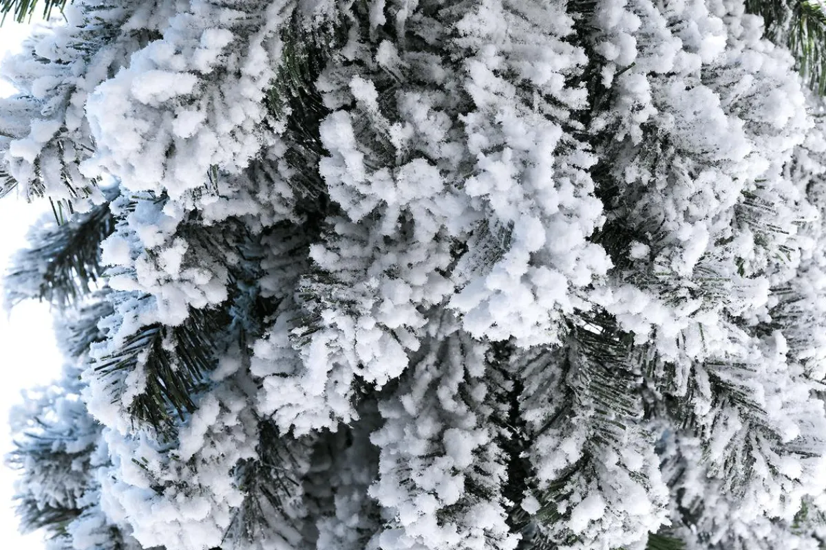 Árboles De Navidad Artificiales>DecoWoerner Abeto Artificial, Estrecho, Cubierto De Nieve 210 Cm blanco