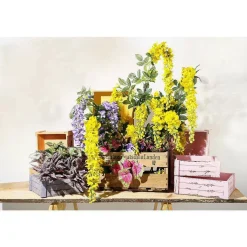 Plantas Verdes|Hojas><noscript><img width=