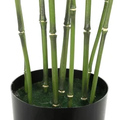 Plantas Verdes|Plantas De Interior><noscript><img width=