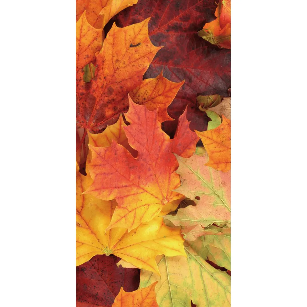 Decoración De Otoño|Pancartas De Otoño>DecoWoerner Bandera De Tela Ignífuga "Hojas De Otoño" 100 X 200 Cm naranja