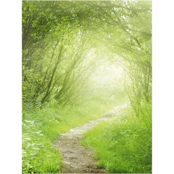 Bandera Xxl|Decoración De Verano>DecoWoerner Bandera De Tela XL "Senda Forestal" De Tela De Bandera Ignífuga 150 X 200 Cm verde