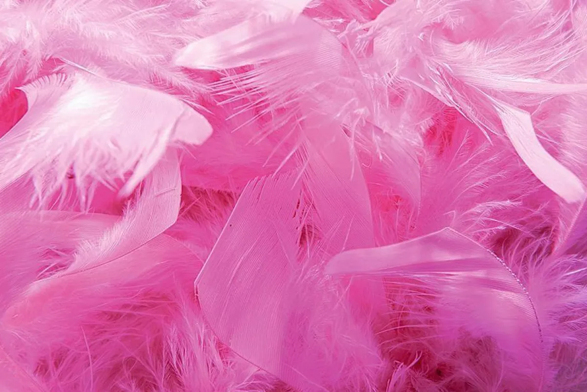 Decoración Temática>DecoWoerner Boa De Plumas, , 180 Cm rosa
