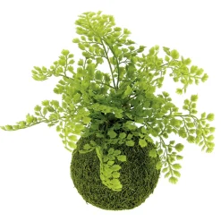 Plantas Verdes|Plantas De Interior>DecoWoerner Bola De Musgo Artificial Con Helecho Culantrillo 30 Cm verde