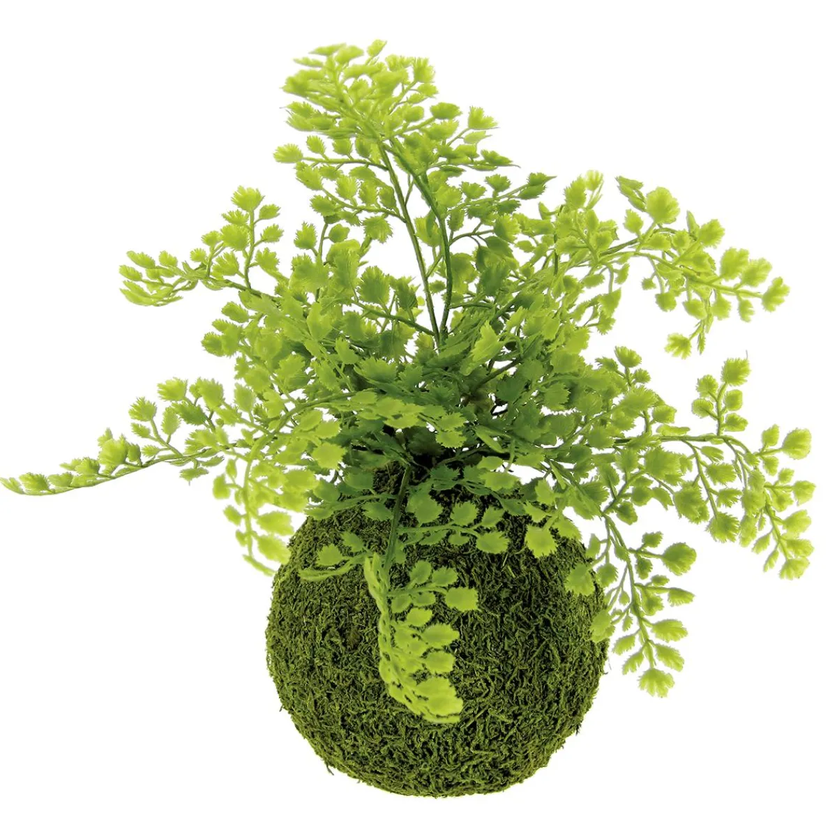 Plantas Verdes|Plantas De Interior>DecoWoerner Bola De Musgo Artificial Con Helecho Culantrillo 30 Cm verde