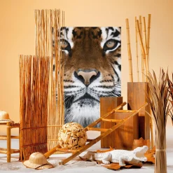 Decoración Natural|Decoración Temática><noscript><img width=