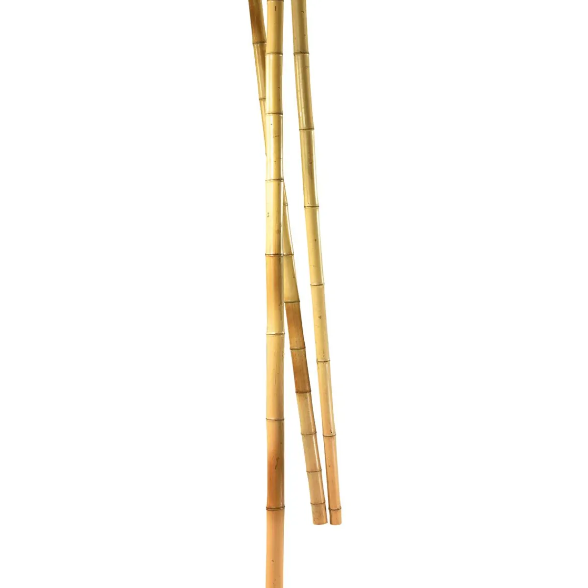 Decoración Natural|Decoración Temática>DecoWoerner Cañas De Bambú Natural, 3 Piezas Beige