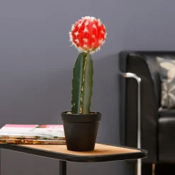 Plantas De Interior><noscript><img width=