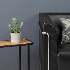 Plantas De Interior><noscript><img width=