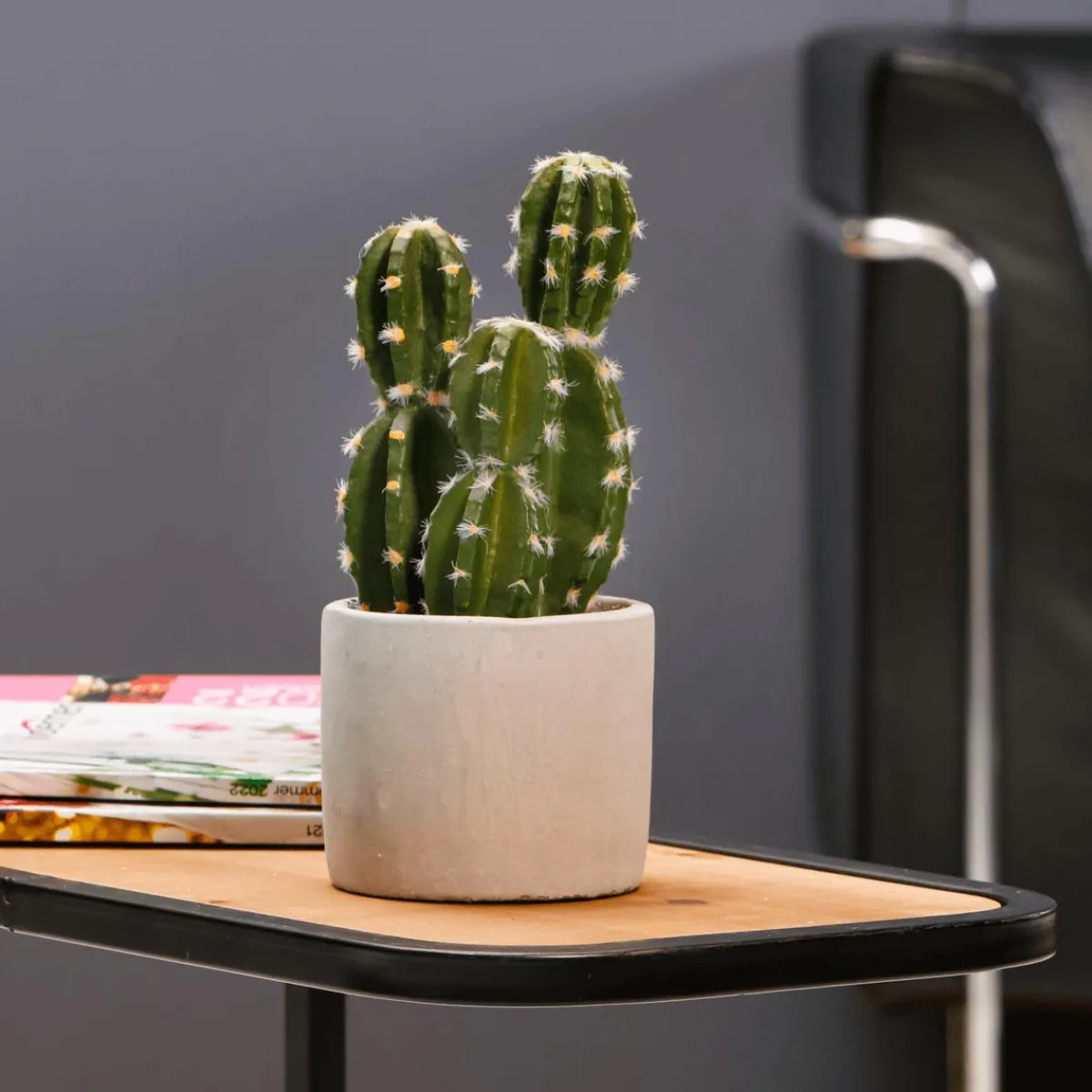Plantas De Interior>DecoWoerner Cactus Artificial En Maceta 23 Cm verde