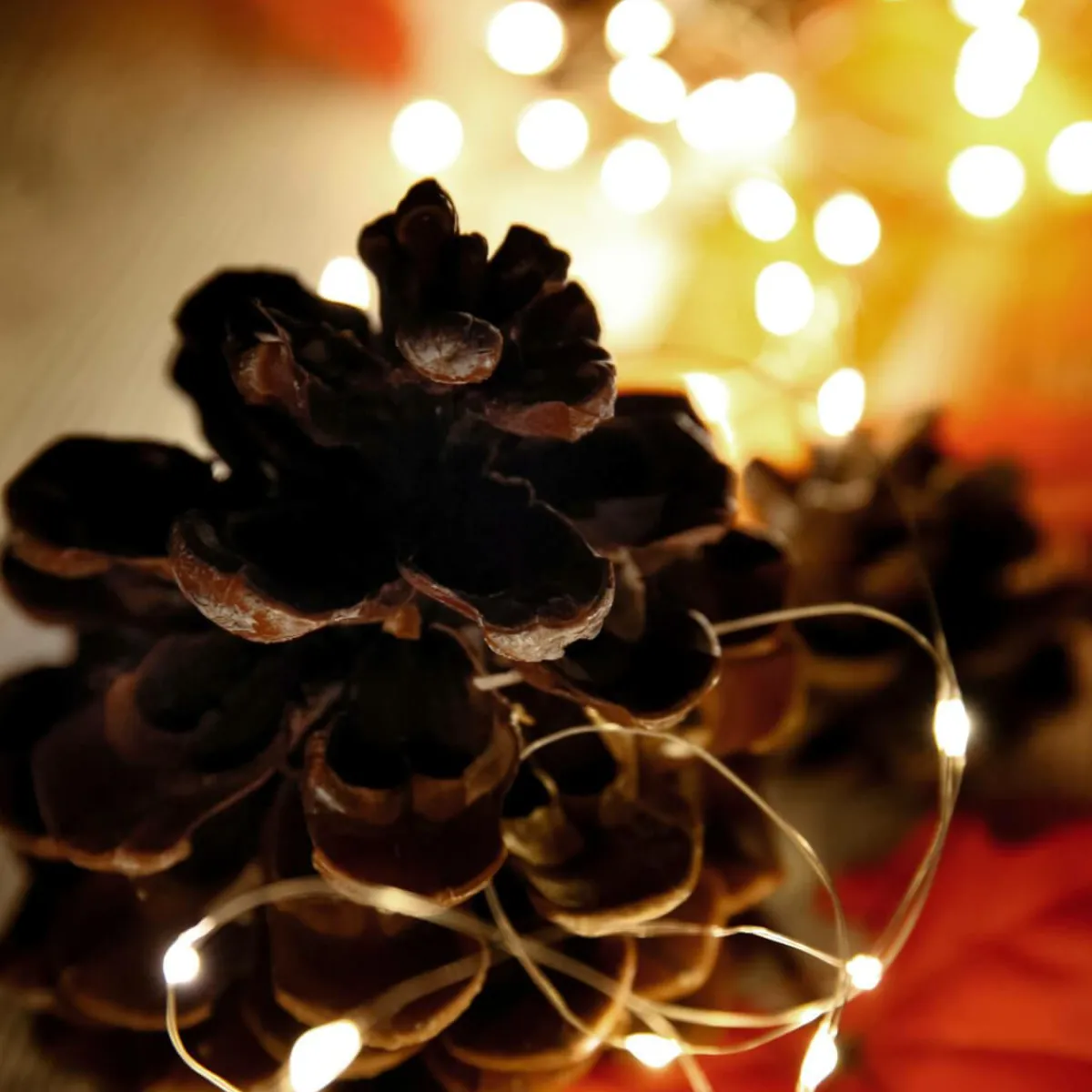 Luces De Navidad>DecoWoerner Cadena De Luces LED Con Alambre Con Baterías Para Exteriores, 100 LED, 10 M plata