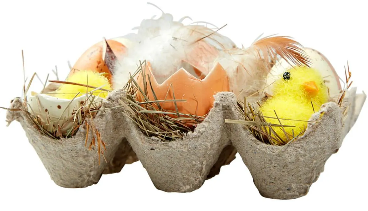 Decoración De Pascua>DecoWoerner Caja De Huevos Y Pollitos marrón