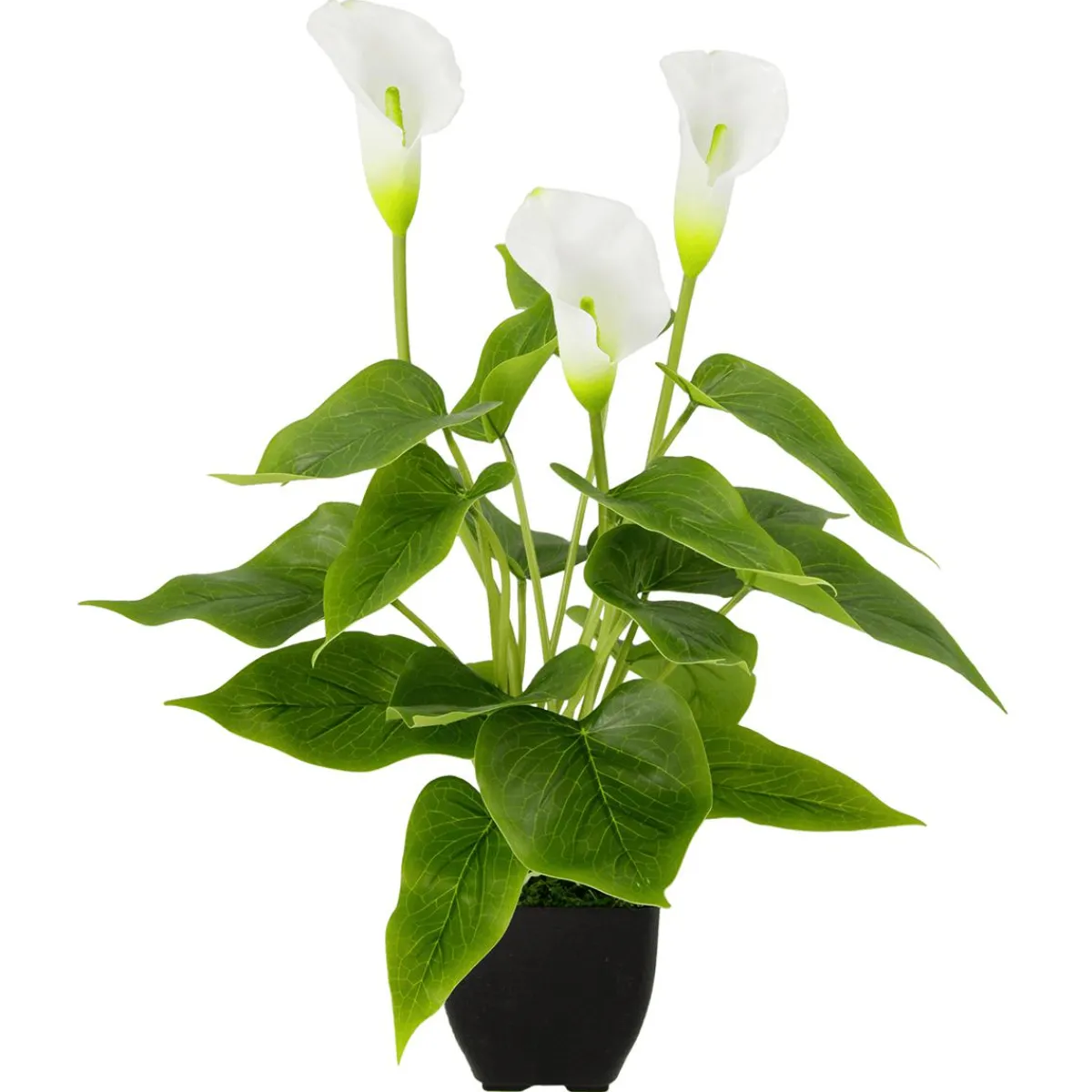 Plantas De Interior|Flores Artificiales>DecoWoerner Calla Planta Artificial Blanca 40 Cm En Maceta blanco