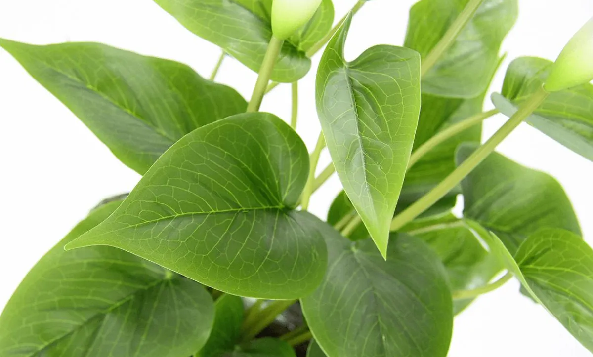 Plantas De Interior|Flores Artificiales>DecoWoerner Calla Planta Artificial Blanca 40 Cm En Maceta blanco
