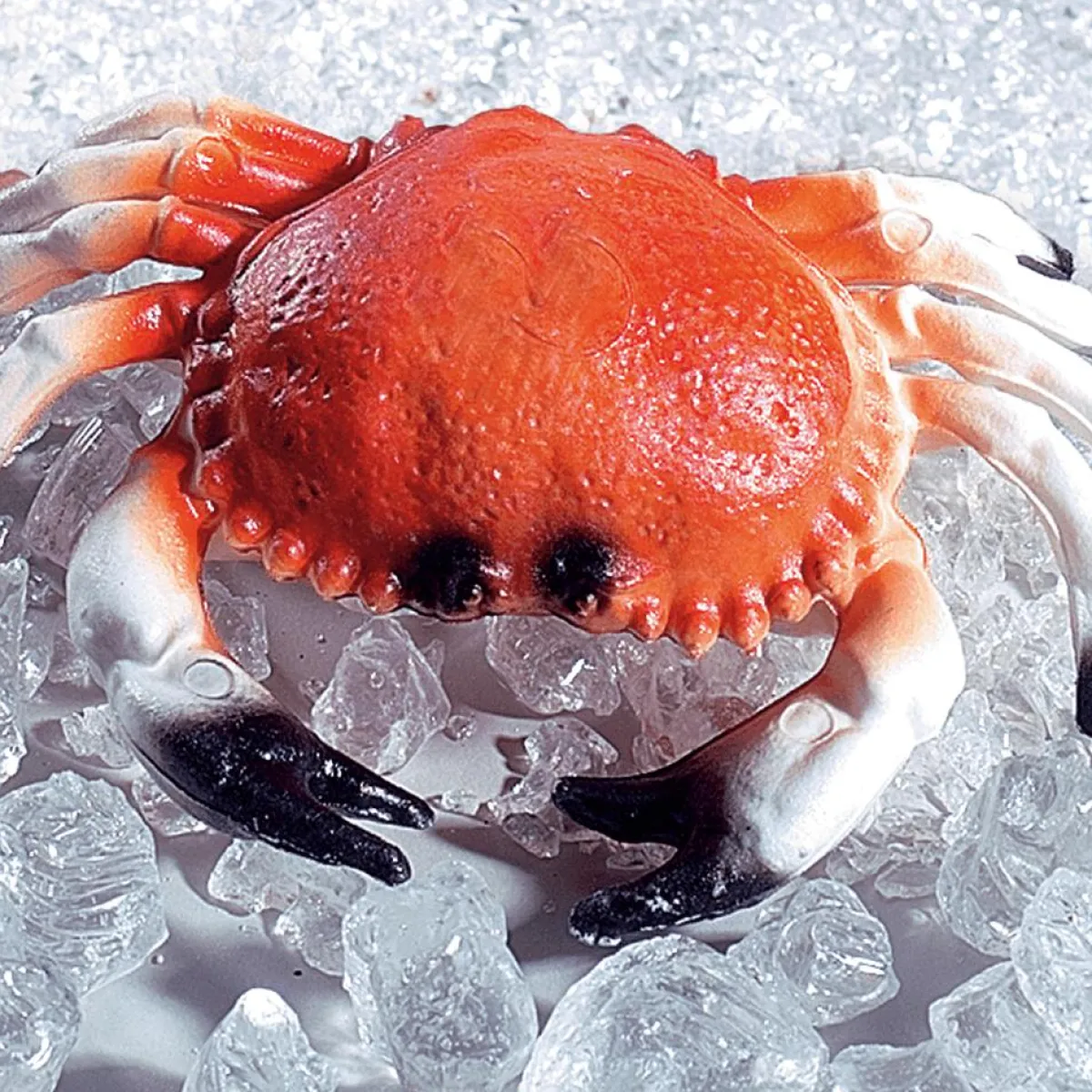 Decoración De Verano|Pescados Y Mariscos>DecoWoerner Cangrejo Maniquí 20 Cm naranja