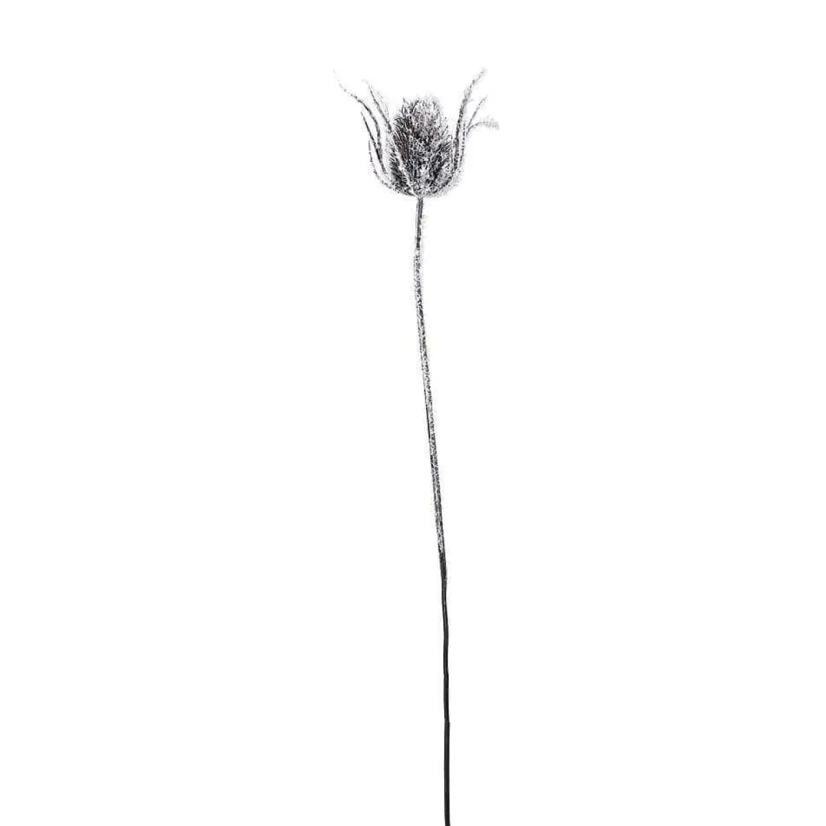 Decoración De Invierno|Ramas Y Ramitas>DecoWoerner Cardo De Rama Artístico Nevado, 74 Cm blanco