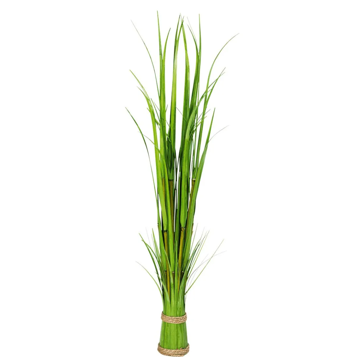 Decoración De Primavera|Hierba Decorativa>DecoWoerner Carrizo Decorativo 90 Cm verde