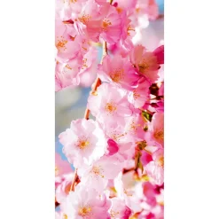 Decoración De Primavera|Pancartas De Primavera>DecoWoerner Cartel De Tela Ignífuga "flores De Cerezo " De Tela De Bandera 100 X 200 Cm rosa