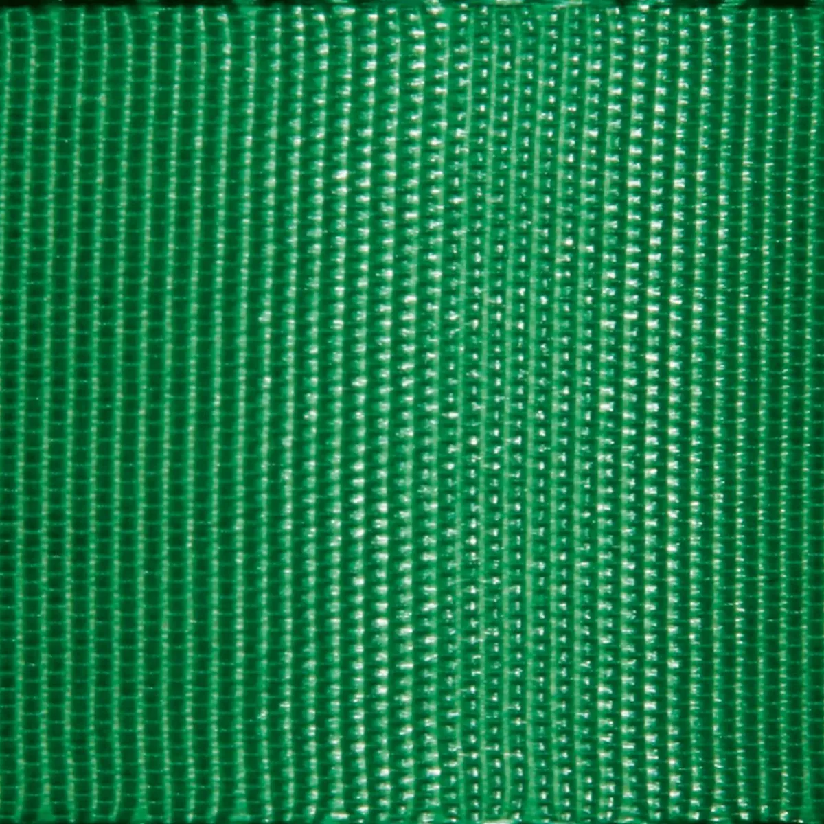 Cintas De Regalo>DecoWoerner Cinta De Tafetán Con Orillo 25 Mm, 50 M, Oscuro verde