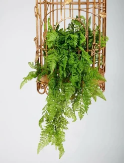 Plantas Verdes|Plantas Colgantes><noscript><img width=