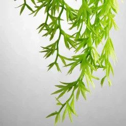 Plantas Verdes|Plantas Colgantes><noscript><img width=