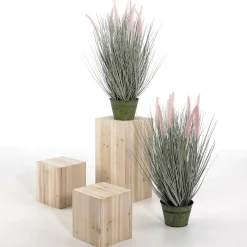 Expositores Para Tiendas|Decoración Natural><noscript><img width=