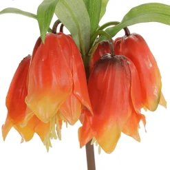 Decoración De Verano|Flores Artificiales>DecoWoerner Corona Imperial Artificial Fritillaria Imperialis 110 Cm naranja