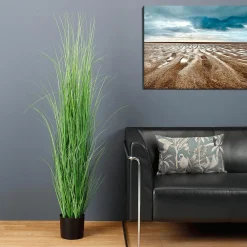 Hierba Decorativa><noscript><img width=