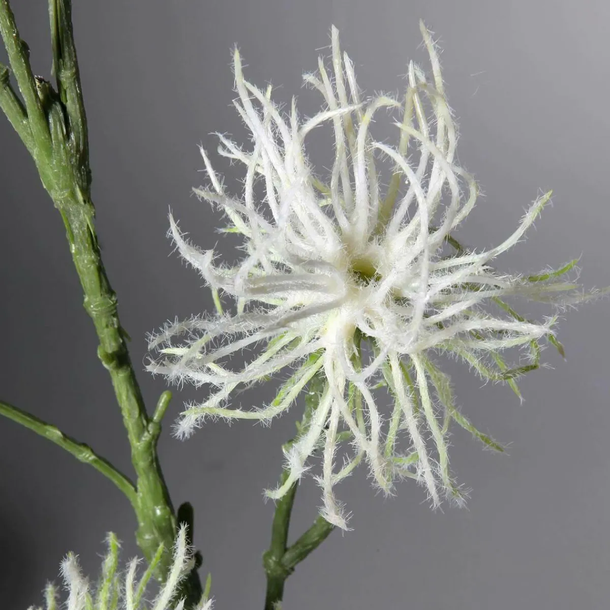 Ramas Y Ramitas>DecoWoerner Decoración Del Puesto De Frutas "Wild Vine 87 Cm blanco