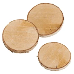 Decoración Natural|Decoración Temática>DecoWoerner Disco De Abedul 16 X 2 Cm Y 15 Cm Ø Juego De 3 Madera natural