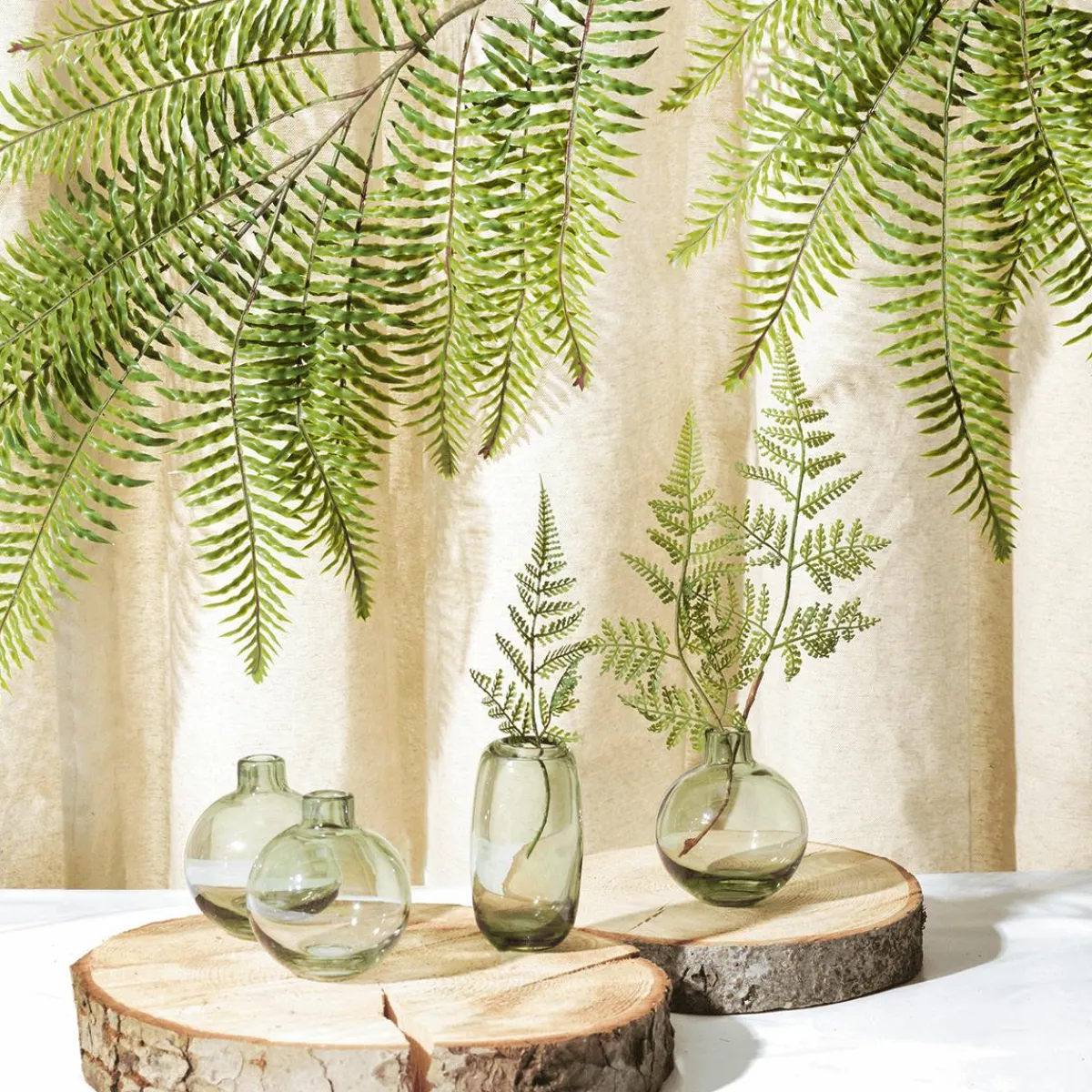 Decoración Natural|Decoración Temática>DecoWoerner Disco De Abedul 16 X 2 Cm Y 15 Cm Ø Juego De 3 Madera natural