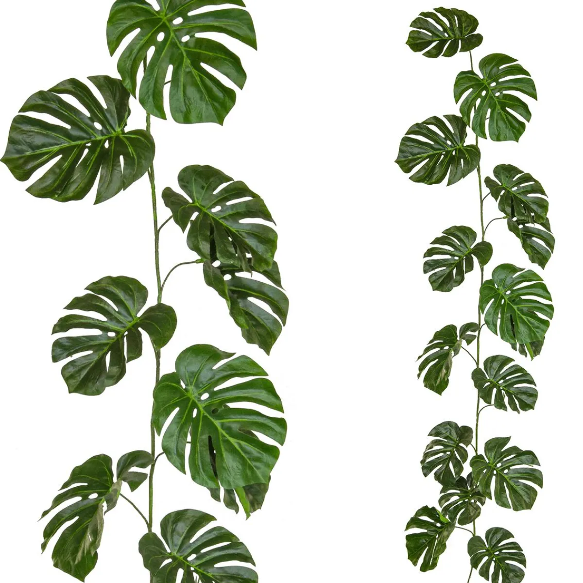 Guirnaldas Y Vides|Plantas Verdes>DecoWoerner Enredadera Monstruosa Artificial Ignífuga 180 Cm verde