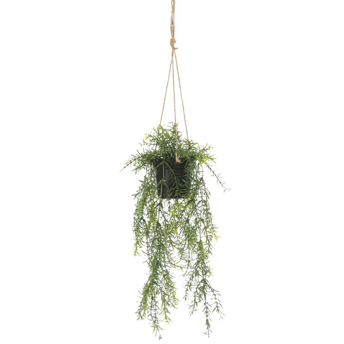 Plantas Colgantes>DecoWoerner Espárrago Artificial Ornamental Asparagus Cesta Colgante 20 X 50 Cm verde