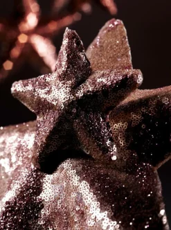 Estrella De Navidad><noscript><img width=