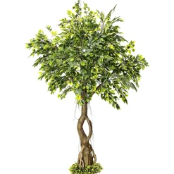 Decoración De Verano|Decoración De Primavera>DecoWoerner Ficus Artificial Con Pie 245 Cm verde