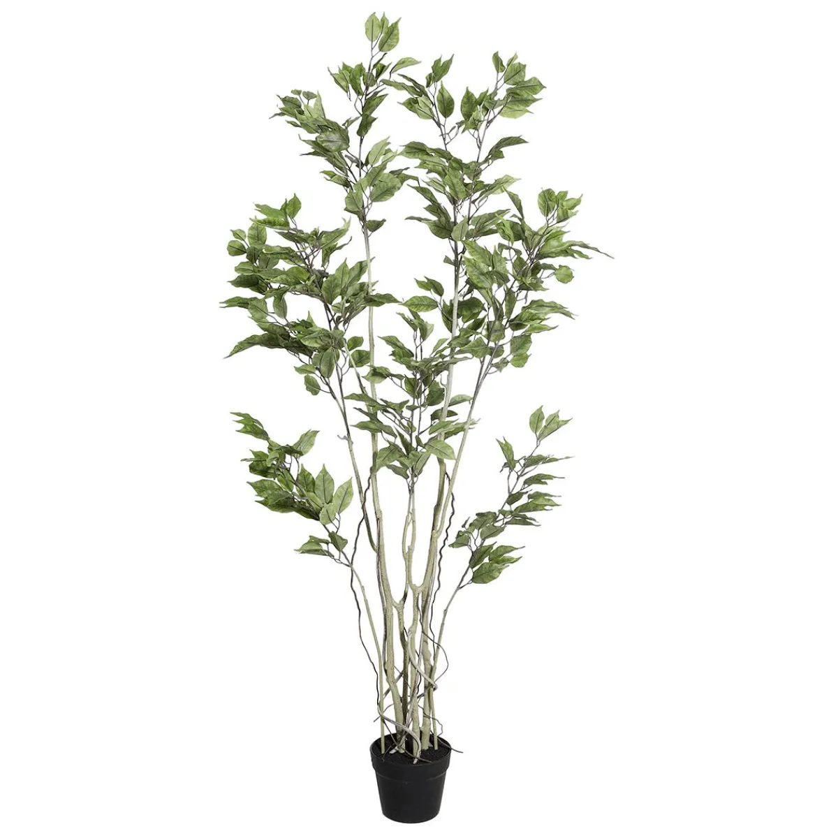 Plantas Verdes|Plantas De Interior>DecoWoerner Ficus Artificial En Maceta verde