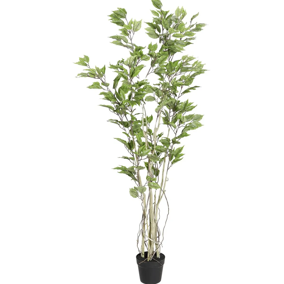 Plantas Verdes|Plantas De Interior>DecoWoerner Ficus Artificial En Maceta verde
