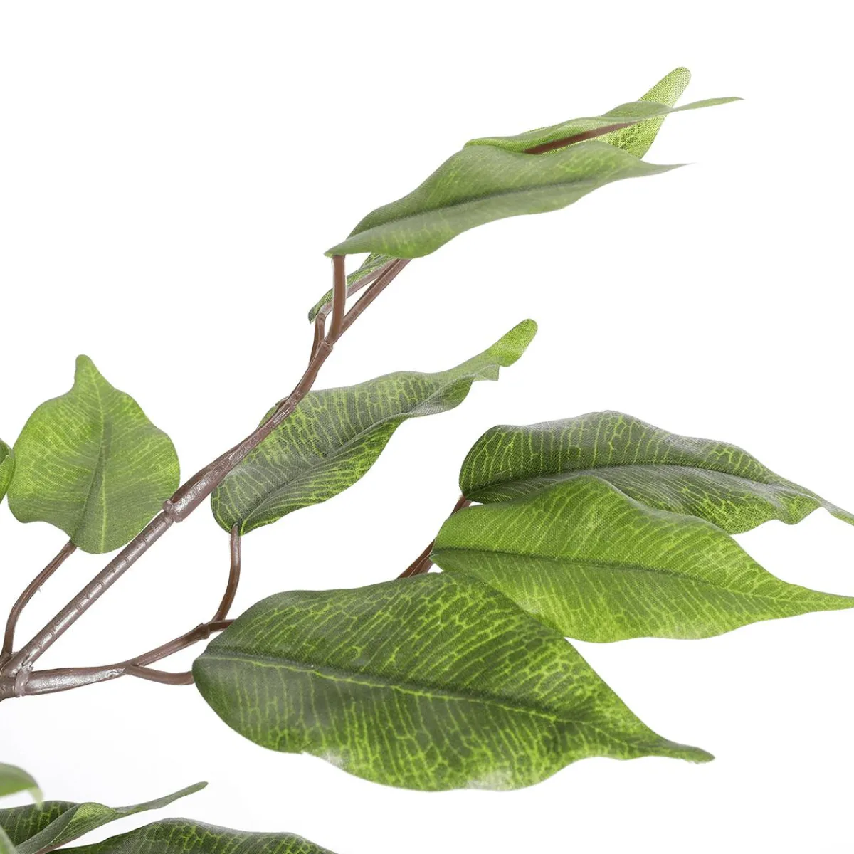 Plantas Verdes|Plantas De Interior>DecoWoerner Ficus Artificial En Maceta verde