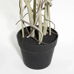Plantas Verdes|Plantas De Interior><noscript><img width=