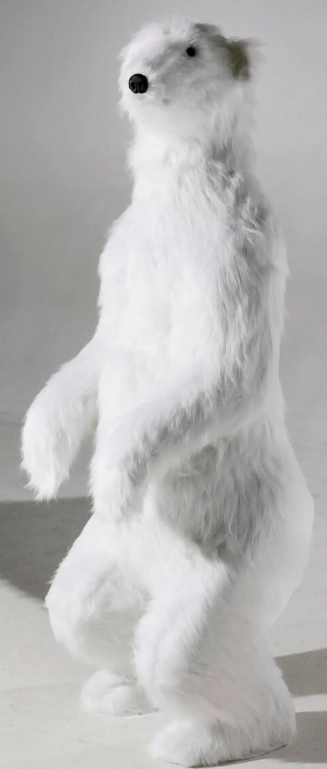Decoración De Animales|Decoración De Invierno>DecoWoerner Figura Animal De Tamaño Natural Oso Polar, Altura: 190 Cm blanco