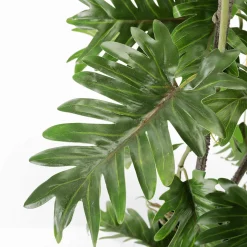 Plantas Verdes|Plantas De Interior>DecoWoerner Filodendro Partido En Maceta Negra verde