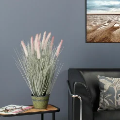 Hierba Decorativa><noscript><img width=