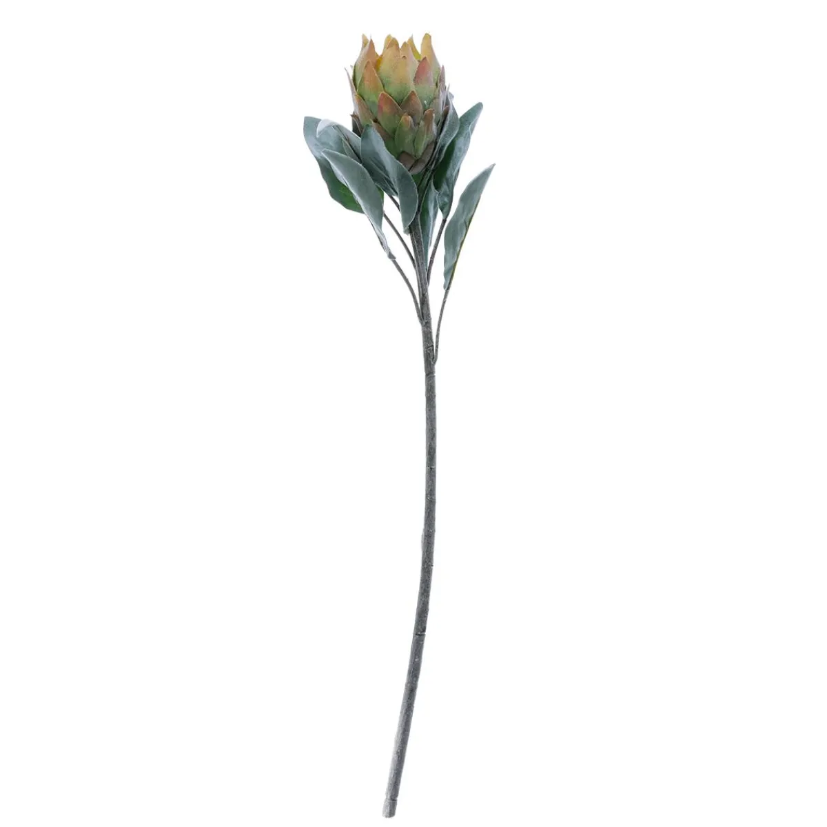 Decoración De Otoño|Flores Artificiales>DecoWoerner Flor Artificial Protea , 72 Cm verde
