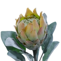 Decoración De Otoño|Flores Artificiales>DecoWoerner Flor Artificial Protea , 72 Cm verde