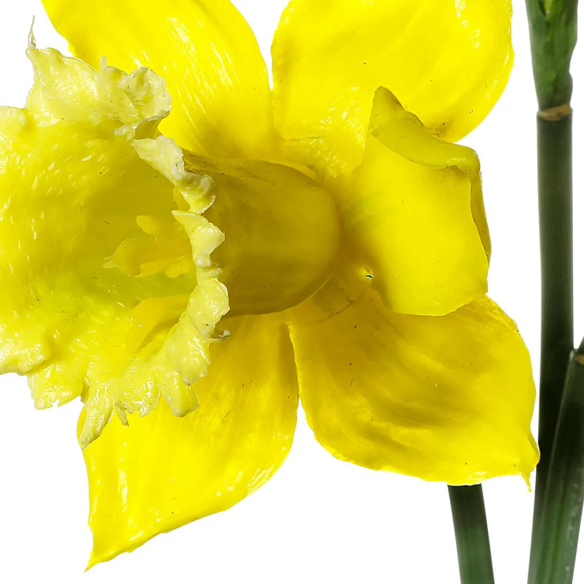 Decoración De Otoño|Flores Artificiales>DecoWoerner Flores Artificiales, Ramo De Narcisos 3 Piezas, 52 Cm amarillo