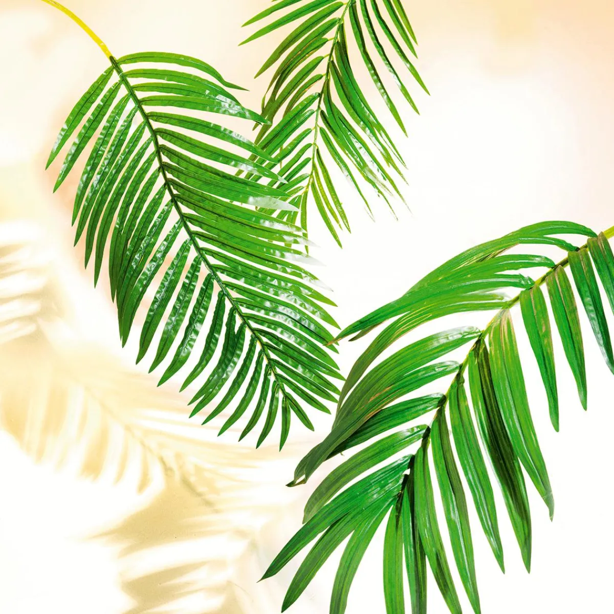 Decoración De Verano|Hojas>DecoWoerner Fronda De Areca Gigante Decorativa, Longitud 180 Cm verde