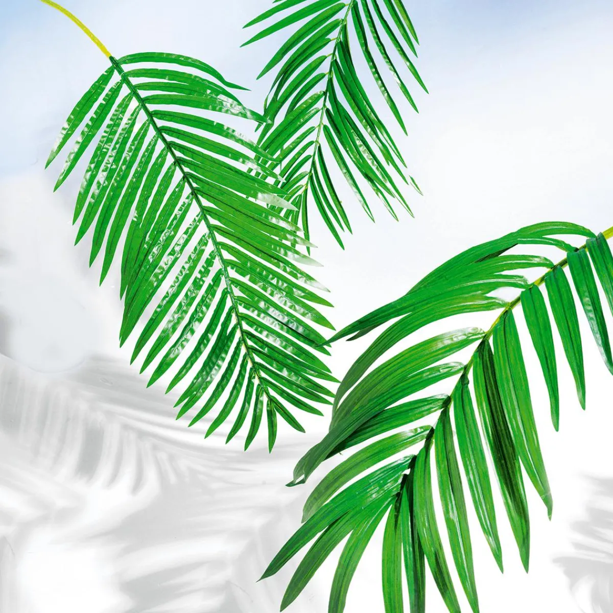 Decoración De Verano|Hojas>DecoWoerner Fronda De Areca Gigante Decorativa, Longitud 180 Cm verde