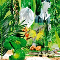 Decoración De Verano|Hojas><noscript><img width=