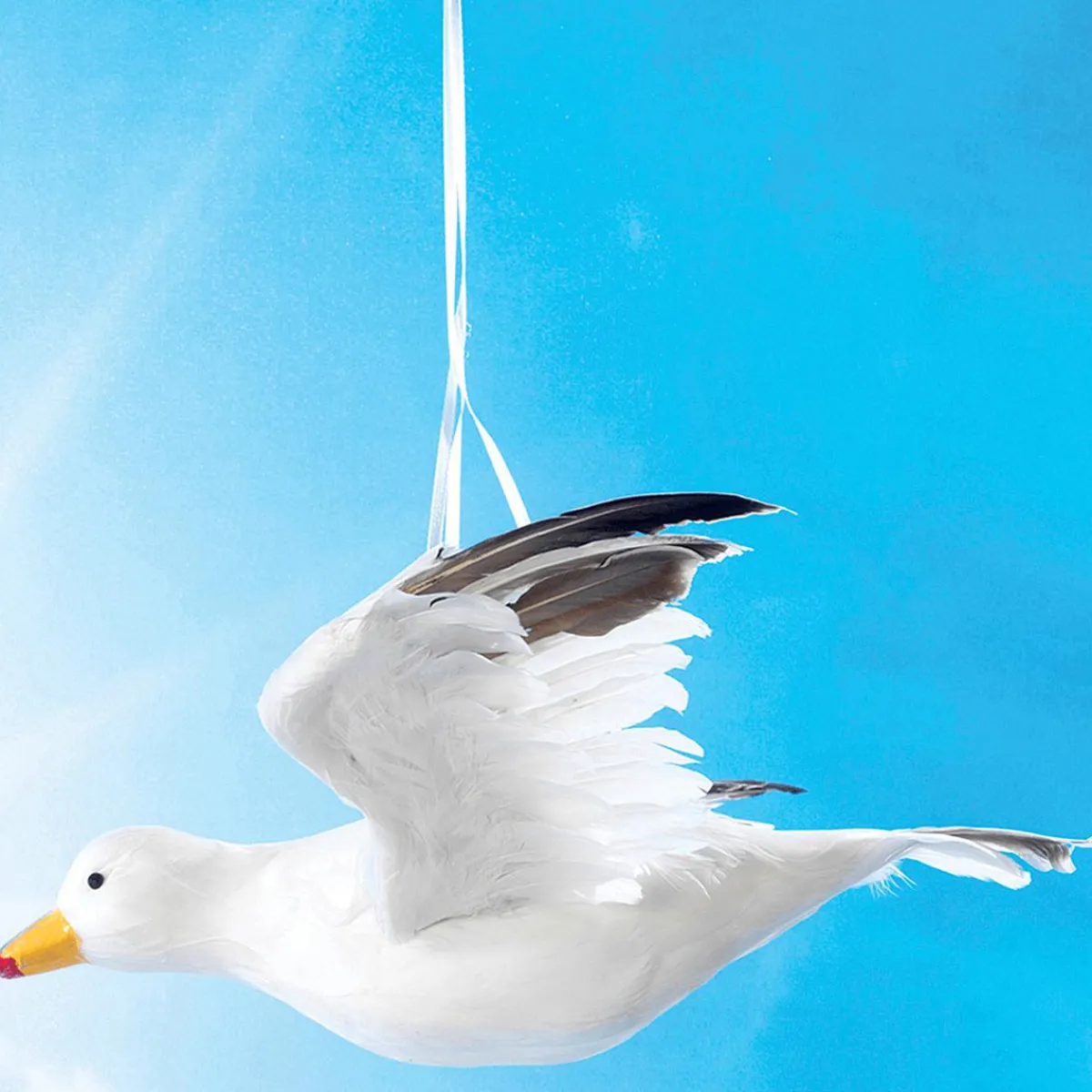 Decoración De Animales|Decoración De Verano>DecoWoerner Gaviota Decorativa Volando, Anchura 43 Cm blanco