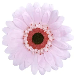 Decoración De Primavera|Cabezas De Flores Artificiales>DecoWoerner Gerbera Gigante, 45 Cm Ø, rosa