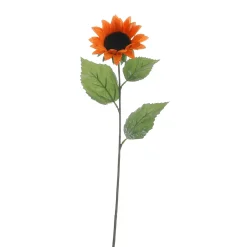 Decoración De Otoño|Decoración De Verano><noscript><img width=